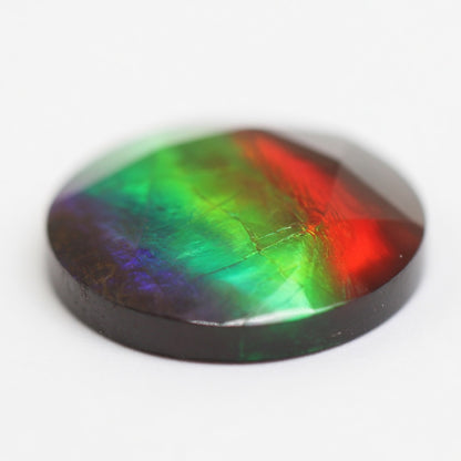 Ammolite Tri-Color Round Cabochon 10mm - detail angle