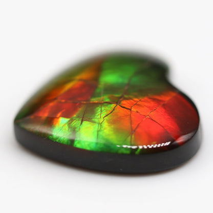 Ammolite Tri-Color Round Cabochon 6mm - detail angle