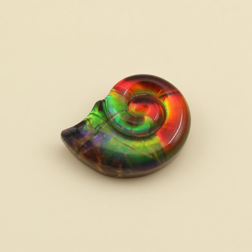 Ammolite Two-Color Four-Leaf Clover Cabochon 8x8mm - front view
