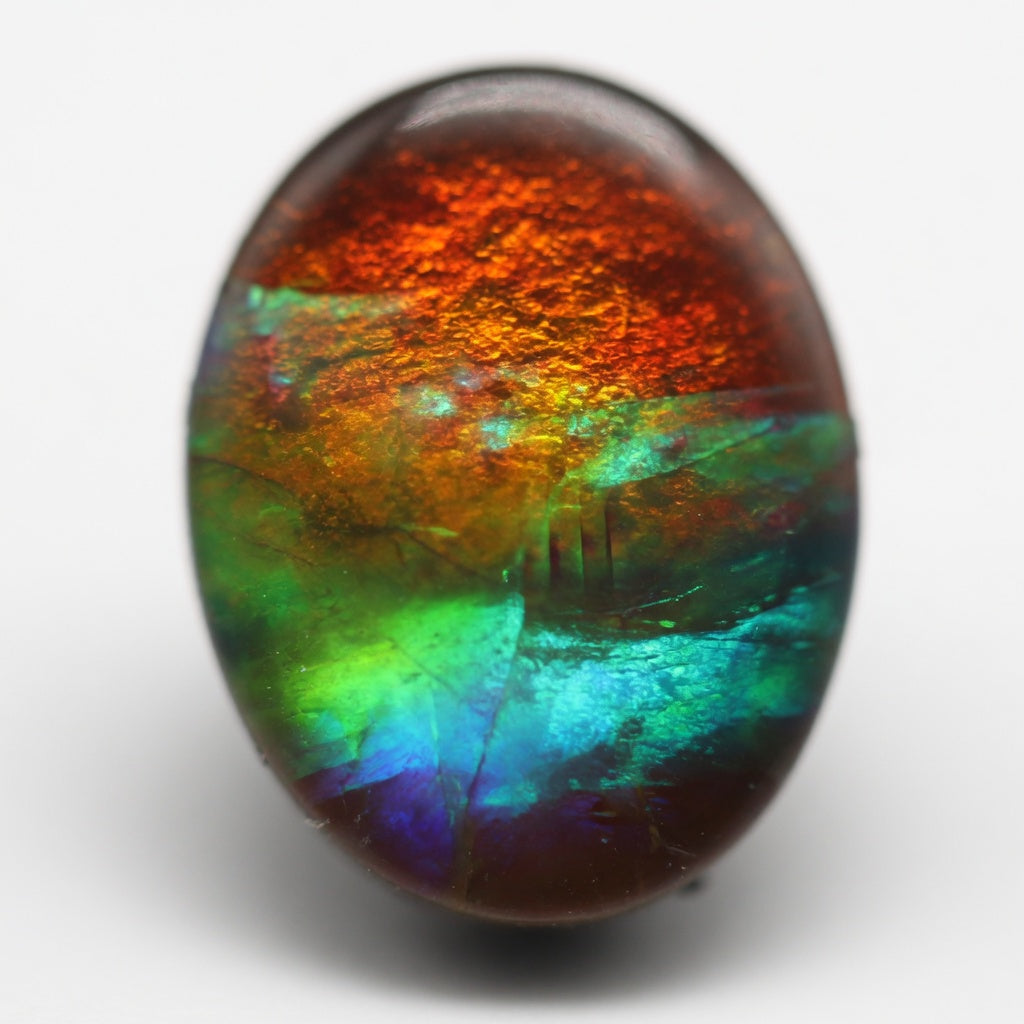Ammolite Tri-Color Oval Cabochon 6x8mm - detail
