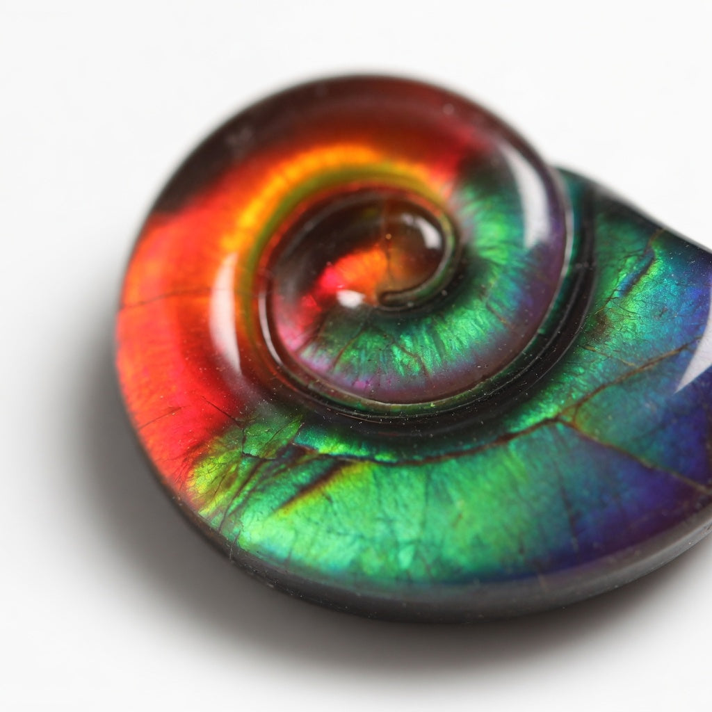 Ammolite Tri-Color Round Cabochon 6mm - detail