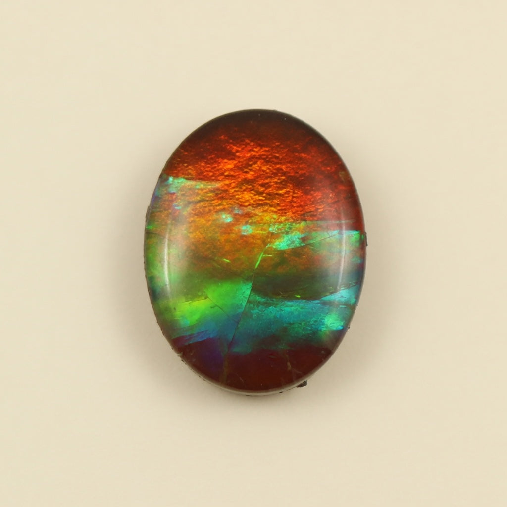 Ammolite Tri-Color Oval Cabochon 6x8mm - front view