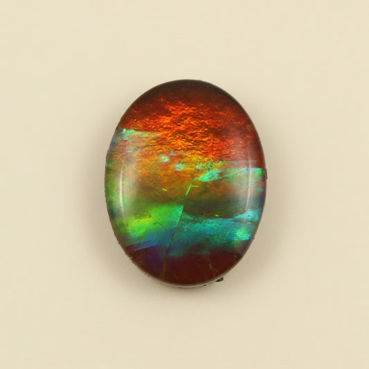 Ammolite Tri-Color Oval Cabochon 6x8mm - front view