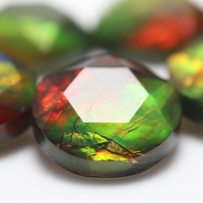 Ammolite Two-Color Round Cabochon 12mm - detail angle