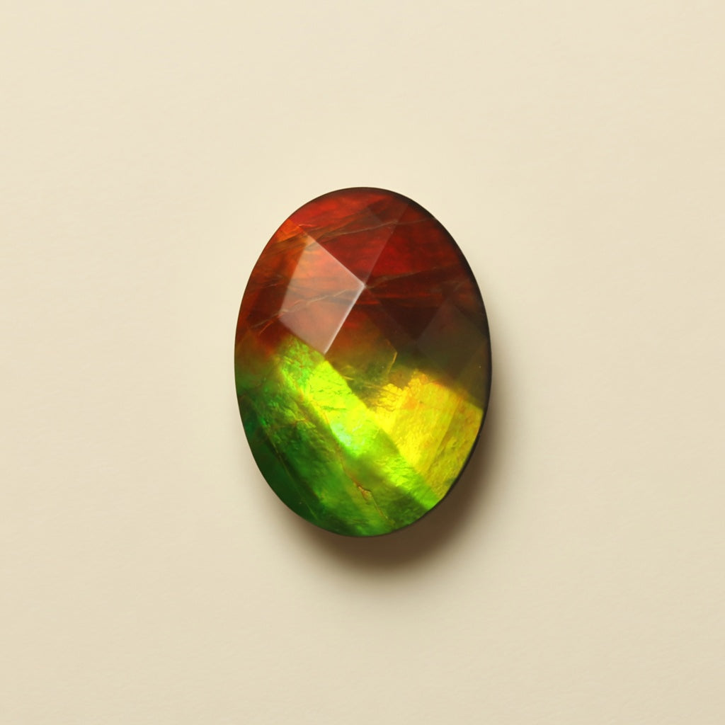 Ammolite Two-Color Oval Cabochon 10x14mm - front view