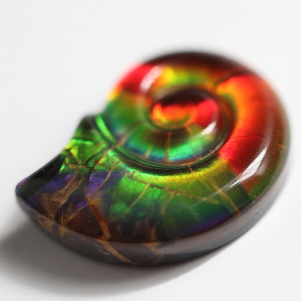 Ammolite Two-Color Four-Leaf Clover Cabochon 8x8mm - detail angle
