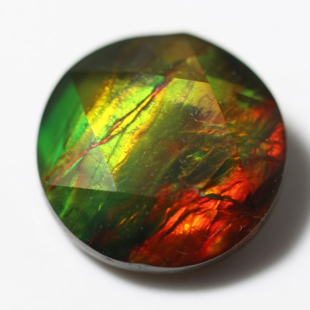 Ammolite Two-Color Round Cabochon 12mm - detail