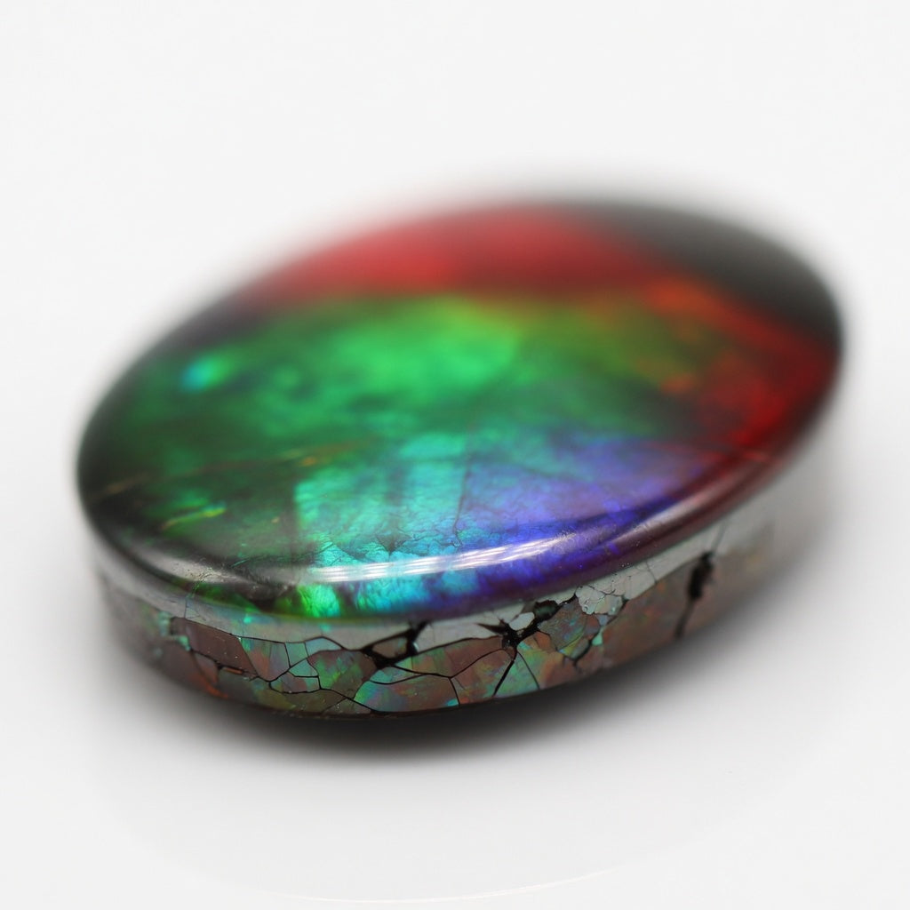 Ammolite Tri-Color Oval Cabochon 6x8mm - detail angle