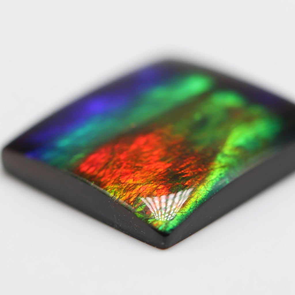 Ammolite Tri-Color Square Cabochon 8x8mm - detail angle