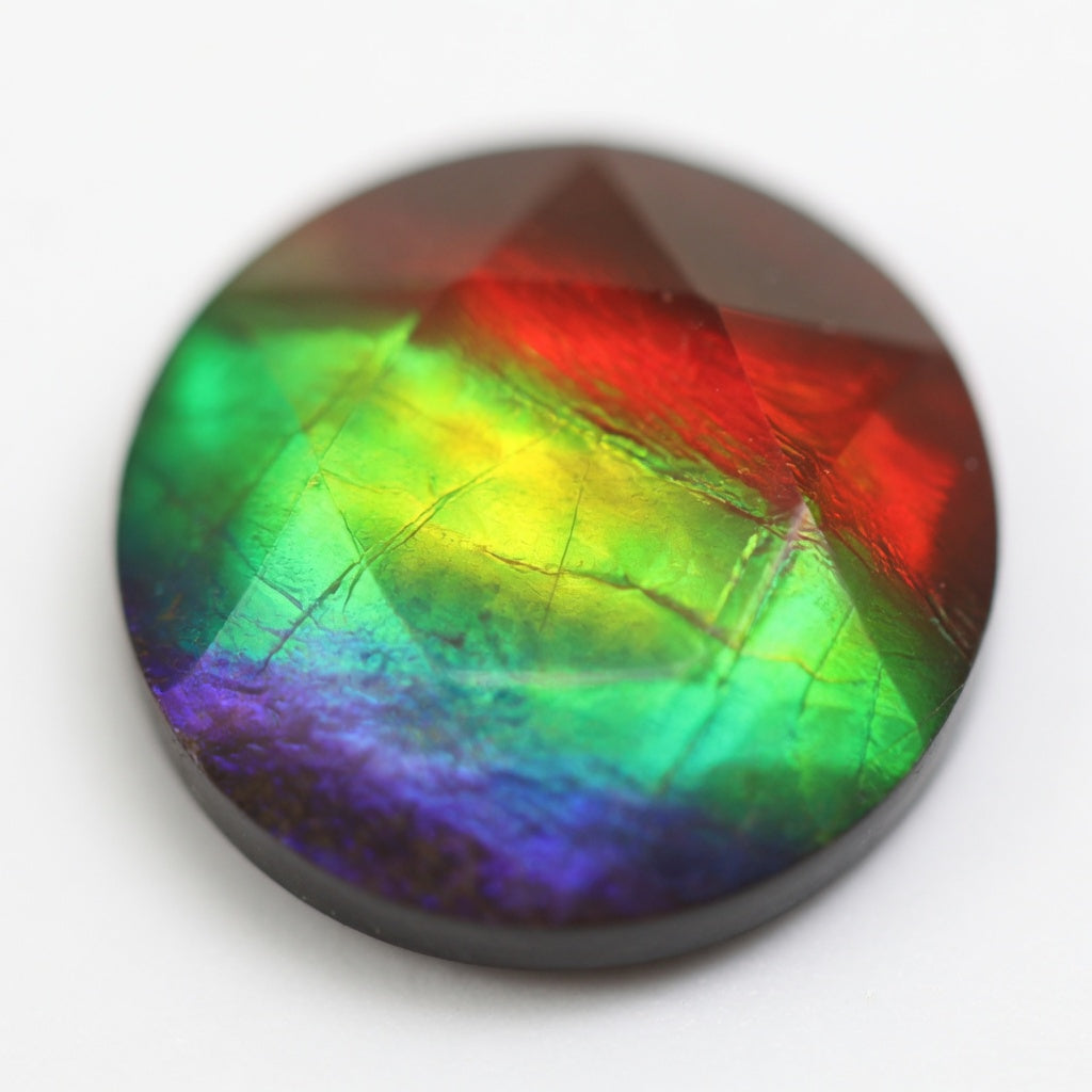 Ammolite Tri-Color Round Cabochon 10mm - detail