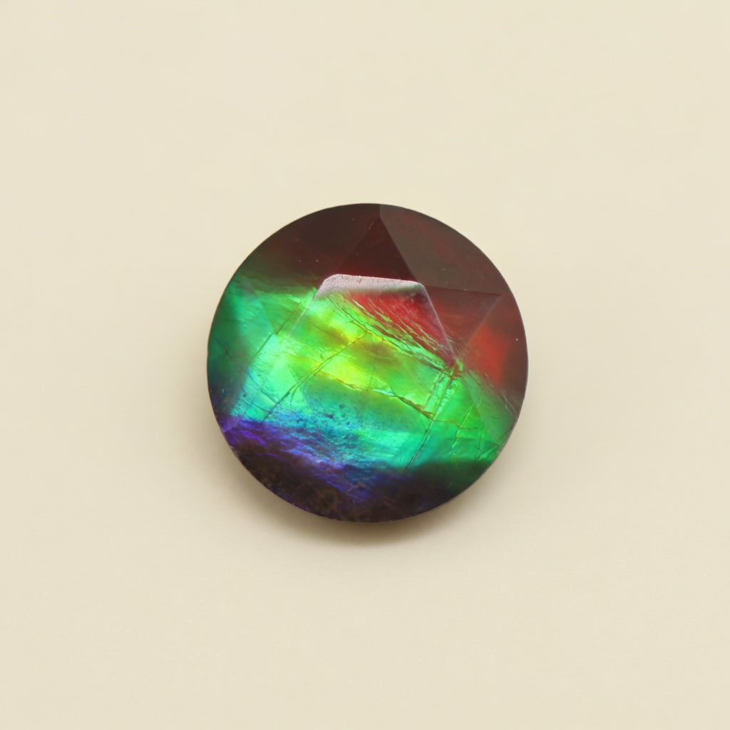 Ammolite Tri-Color Round Cabochon 10mm - front view