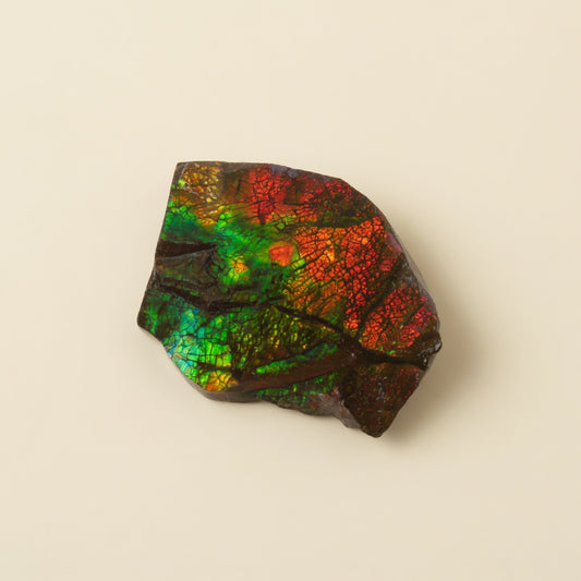 The Aurora Shell Specimen - front view