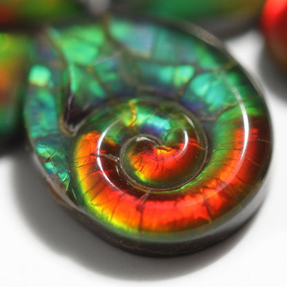 Ammolite Two-Color Four-Leaf Clover Cabochon 8x8mm - detail